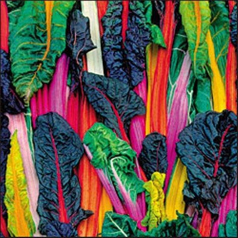 Five Color SilverBeets, Australian Swiss Chard, -- BoxGardenSeedsLLC -Chard, Kohlrabi - Seeds