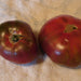 Black Krim, Tomato, - BoxGardenSeedsLLC -Tomatoes,Tomatillos - Seeds