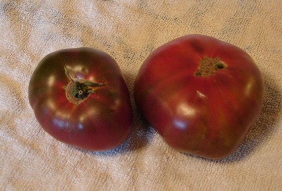 Paul Robeson, Tomato, - BoxGardenSeedsLLC -Tomatoes,Tomatillos - Seeds