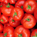 Caribe, Tomato, -- BoxGardenSeedsLLC -Tomatoes,Tomatillos - Seeds