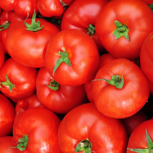- BoxGardenSeedsLLC - Caribe, Tomato, - Tomatoes,Tomatillos - Seeds