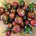 Chocolate Cherry, Tomato, - BoxGardenSeedsLLC -Tomatoes,Tomatillos - Seeds