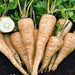 All American, Parsnip, - BoxGardenSeedsLLC -Beet,Turnips,Parsnips - Seeds