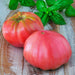 Pink Beefsteak, Tomato, -- BoxGardenSeedsLLC -Tomatoes,Tomatillos - Seeds