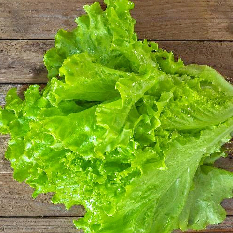 Tango, Lettuce - BoxGardenSeedsLLC - Lettuce - Seeds - USA Seller, Thank you for shopping here today, Naturally Grown GMO Free Seeds, Heirloom Open Pollinated Seeds, Fresh Top Quality Premium Seeds