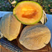 Oregon Delicious, Cantaloupe, - BoxGardenSeedsLLC -Melons, Cantaloupe - Seeds