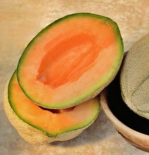 - BoxGardenSeedsLLC - Oregon Delicious, Cantaloupe, - Melons, Cantaloupe - Seeds