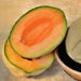 Oregon Delicious, Cantaloupe, - BoxGardenSeedsLLC -Melons, Cantaloupe - Seeds