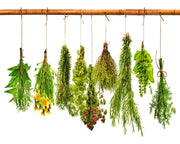 Heirloom Culinary Herb, Seed Collection - BoxGardenSeedsLLC - Culinary/Medicinal Herbs - Seeds - USA Seller, Thank you for shopping here today, Naturally Grown GMO Free Seeds, Heirloom Open Pollinated Seeds, Fresh Top Quality Premium Seeds