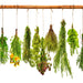 Heirloom Culinary Herb, Seed Kit, - BoxGardenSeedsLLC -Culinary/Medicinal Herbs - Seeds