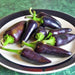 copy Jalapeno Purple Hot Pepper - BoxGardenSeedsLLC -Peppers,Eggplants - Seeds