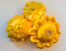 Yellow Scallop, Summer Squash, -- BoxGardenSeedsLLC -Squash,Pumpkins - Seeds