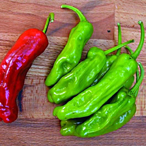 Italian Pepperoncini, Sweet Pepper -- BoxGardenSeedsLLC -Peppers,Eggplants - Seeds