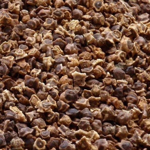 Sugar Beet, Heirloom Seeds - BoxGardenSeedsLLC - Beet,Turnips,Parsnips - Seeds - USA Seller, Thank you for shopping here today, Fresh Premier Seeds