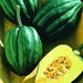 Table Queen, Acorn Winter Squash, - BoxGardenSeedsLLC -Squash,Pumpkins - Seeds