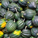 Table King Acorn, Winter Squash, - BoxGardenSeedsLLC -Squash,Pumpkins - Seeds