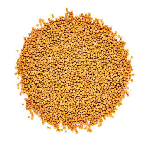 Yellow (White), Mustard, -- BoxGardenSeedsLLC -Culinary/Medicinal Herbs - Seeds