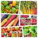 - BoxGardenSeedsLLC - Rainbow Garden Seed Kit Heirloom Seeds - - Seeds