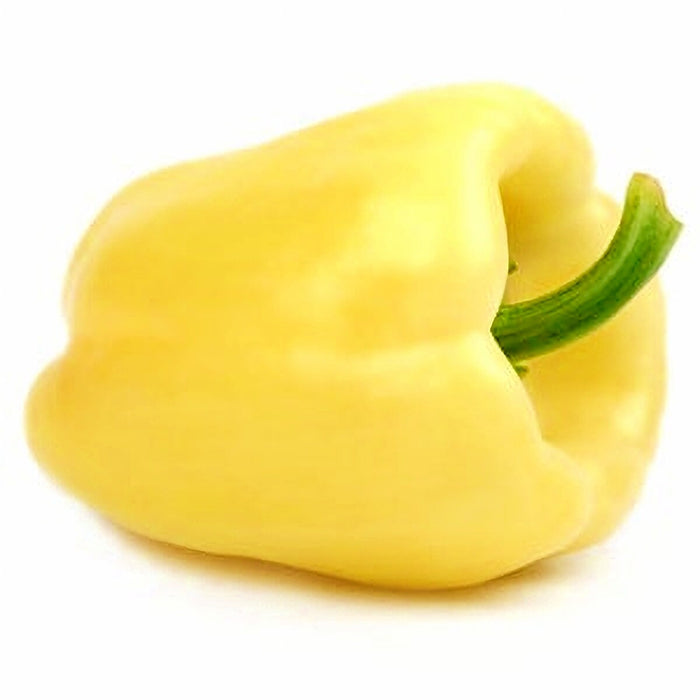 White Cloud, Sweet Bell Pepper, -- BoxGardenSeedsLLC -Peppers,Eggplants - Seeds