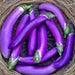 Ping tung Long, Eggplant, - BoxGardenSeedsLLC -Peppers,Eggplants - Seeds