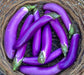 Ping tung Long, Eggplant, -- BoxGardenSeedsLLC -Peppers,Eggplants - Seeds