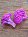 Cauliflower, Purple Violetta Italia, -- BoxGardenSeedsLLC -Broccoli,Cauliflower - Seeds