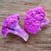 Cauliflower, Purple Violetta Italia, - BoxGardenSeedsLLC -Broccoli,Cauliflower - Seeds