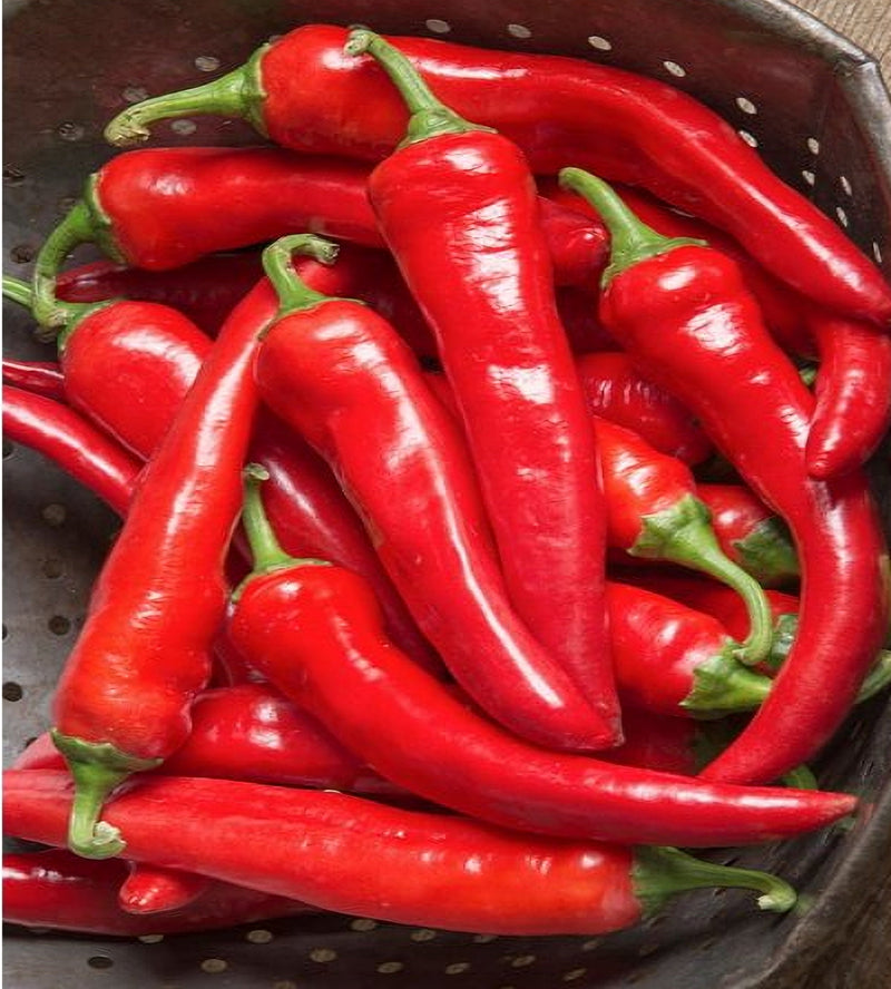 Cayenne Thick Chili, Hot Pepper - BoxGardenSeedsLLC - Peppers,Eggplants - Seeds - USA Seller, Thank you for shopping here today, Naturally Grown GMO Free Seeds, Heirloom Open Pollinated Seeds, Fresh Top Quality Premium Seeds