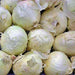 Southport White Globe, Onion, - BoxGardenSeedsLLC -Onions,Leeks - Seeds