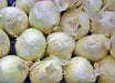 Southport White Globe, Onion - BoxGardenSeedsLLC - Onions,Leeks - Seeds - USA Seller, Thank you for shopping here today, Naturally Grown GMO Free Seeds, Heirloom Open Pollinated Seeds, Fresh Top Quality Premium Seeds