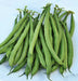 Three Sisters Garden, Seed Collection, -- BoxGardenSeedsLLC -Corn - Seeds