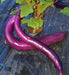 Japanese Pickling, Eggplant, -- BoxGardenSeedsLLC -Peppers,Eggplants - Seeds