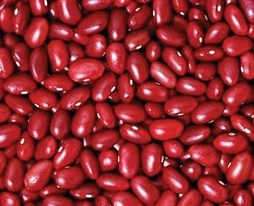 Small Red Chili, Dry Bush Bean, - BoxGardenSeedsLLC -Abundant Stock SALE - Seeds