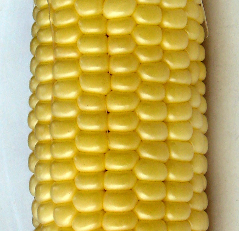 Top Hat, Sweet Corn - BoxGardenSeedsLLC - Corn - Seeds - USA Seller, Thank you for shopping here today, Naturally Grown GMO Free Seeds, Heirloom Open Pollinated Seeds, Fresh Top Quality Premium Seeds