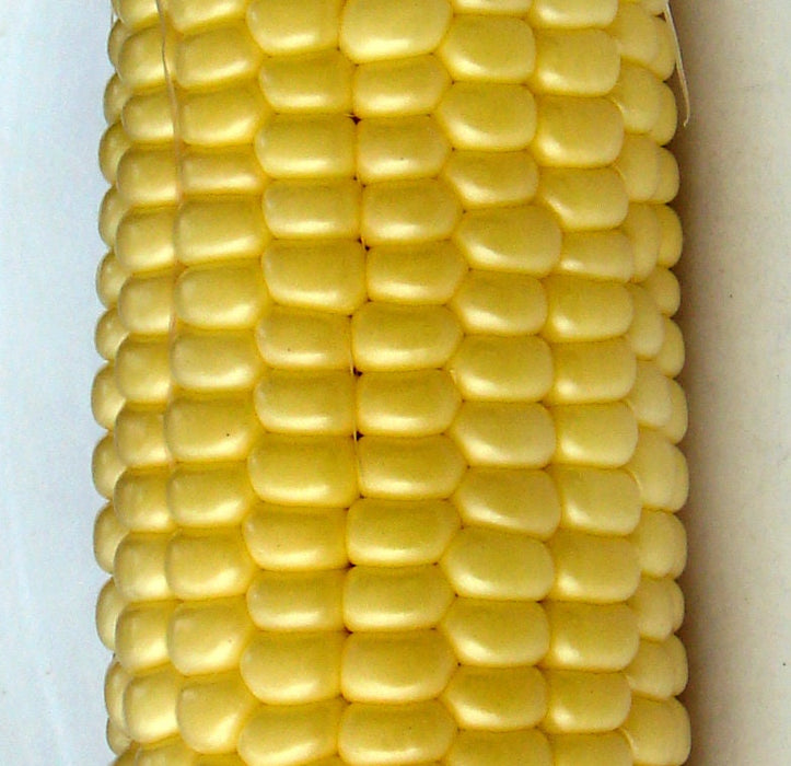 Top Hat, Sweet Corn, -- BoxGardenSeedsLLC -Corn - Seeds