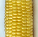 Top Hat, Sweet Corn, -- BoxGardenSeedsLLC -Corn - Seeds