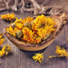 Resina, Calendula, - BoxGardenSeedsLLC -Culinary/Medicinal Herbs - Seeds