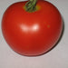 Copy Sasha's Altai Tomato 30+ Heirloom Seeds Open Pollinated Incredible earliness sweet and juicy Non-GMO - BoxGardenSeedsLLC -Tomatoes,Tomatillos - Seeds