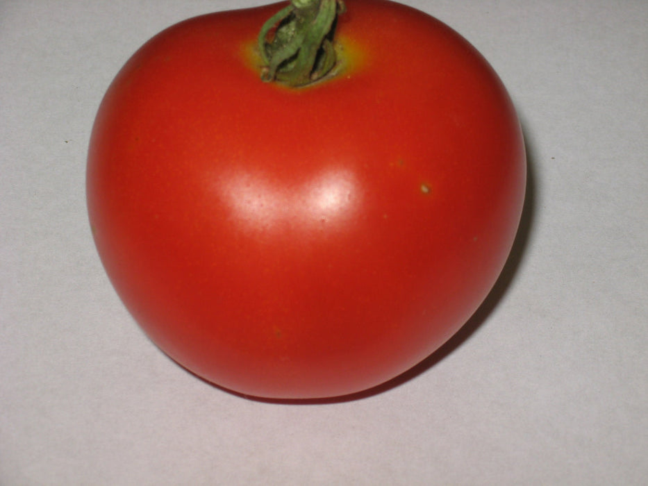 Copy Sasha's Altai Tomato 30+ Heirloom Seeds Open Pollinated Incredible earliness sweet and juicy Non-GMO - BoxGardenSeedsLLC -Tomatoes,Tomatillos - Seeds