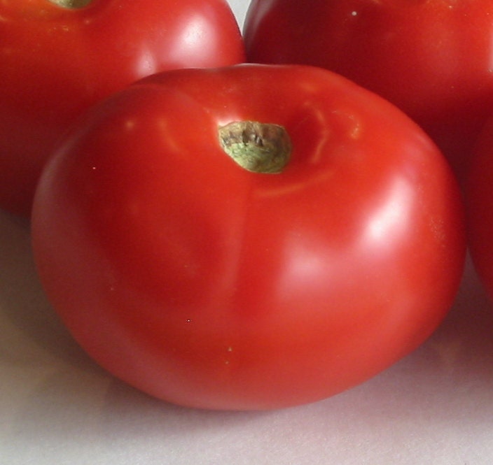 Copy Sasha's Altai Tomato 30+ Heirloom Seeds Open Pollinated Incredible earliness sweet and juicy Non-GMO - BoxGardenSeedsLLC -Tomatoes,Tomatillos - Seeds