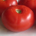 Copy Sasha's Altai Tomato 30+ Heirloom Seeds Open Pollinated Incredible earliness sweet and juicy Non-GMO - BoxGardenSeedsLLC -Tomatoes,Tomatillos - Seeds