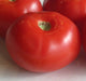 Sasha's Altai, Tomato - BoxGardenSeedsLLC - Tomatoes,Tomatillos - Seeds - Thank you for shopping here today, Non GMO Seeds, Naturally Grown Seeds, Grown to Organic Standards, Heirloom Seeds, Open Pollinated Seeds, Fresh Premier Seeds, USA Seller