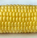 Top Hat, Sweet Corn, -- BoxGardenSeedsLLC -Corn - Seeds