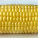 Top Hat, Sweet Corn, - BoxGardenSeedsLLC -Corn - Seeds