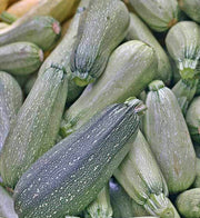 Grey Zucchini, Summer Squash - BoxGardenSeedsLLC - Squash,Pumpkins - Seeds - USA Seller, Thank you for shopping here today, Naturally Grown GMO Free Seeds, Heirloom Open Pollinated Seeds, Fresh Top Quality Premium Seeds