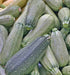 Grey Zucchini, Summer Squash, -- BoxGardenSeedsLLC -Squash,Pumpkins - Seeds