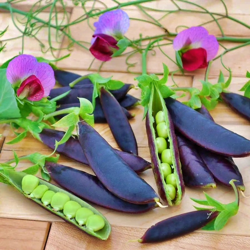 Sugar Magnolia, Sugar Snap Peas - BoxGardenSeedsLLC -Peas - Seeds