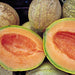 Amish Melon, Muskmelon, - BoxGardenSeedsLLC -Melons, Cantaloupe - Seeds