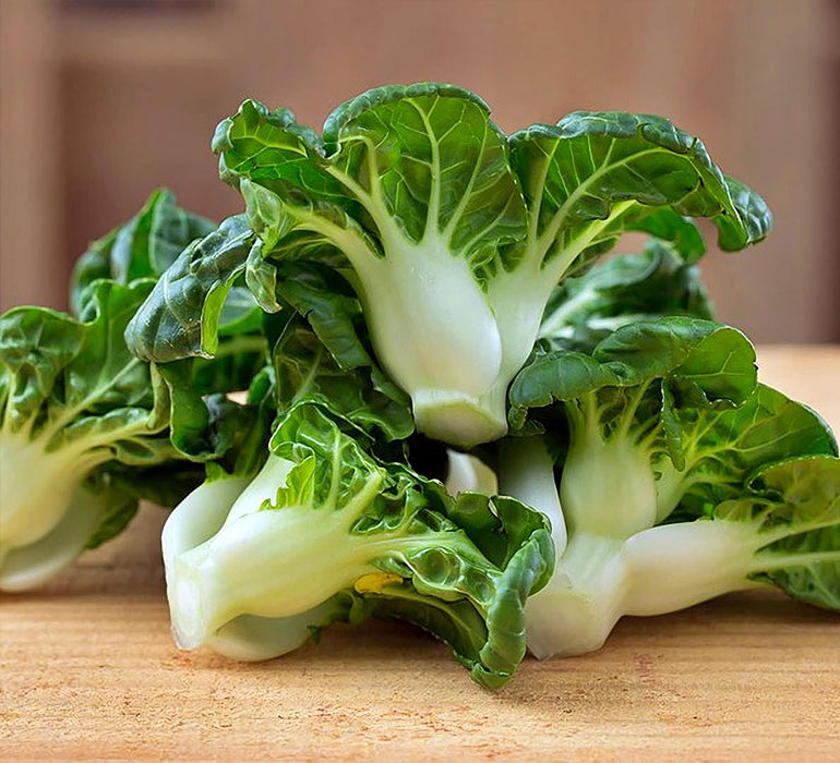 Pak Choy Extra Dwarf, Chinese Cabbage, - BoxGardenSeedsLLC -Cabbage, Kale - Seeds