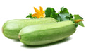 Bianco Lungo, Zucchini Squash, -- BoxGardenSeedsLLC -Squash,Pumpkins - Seeds